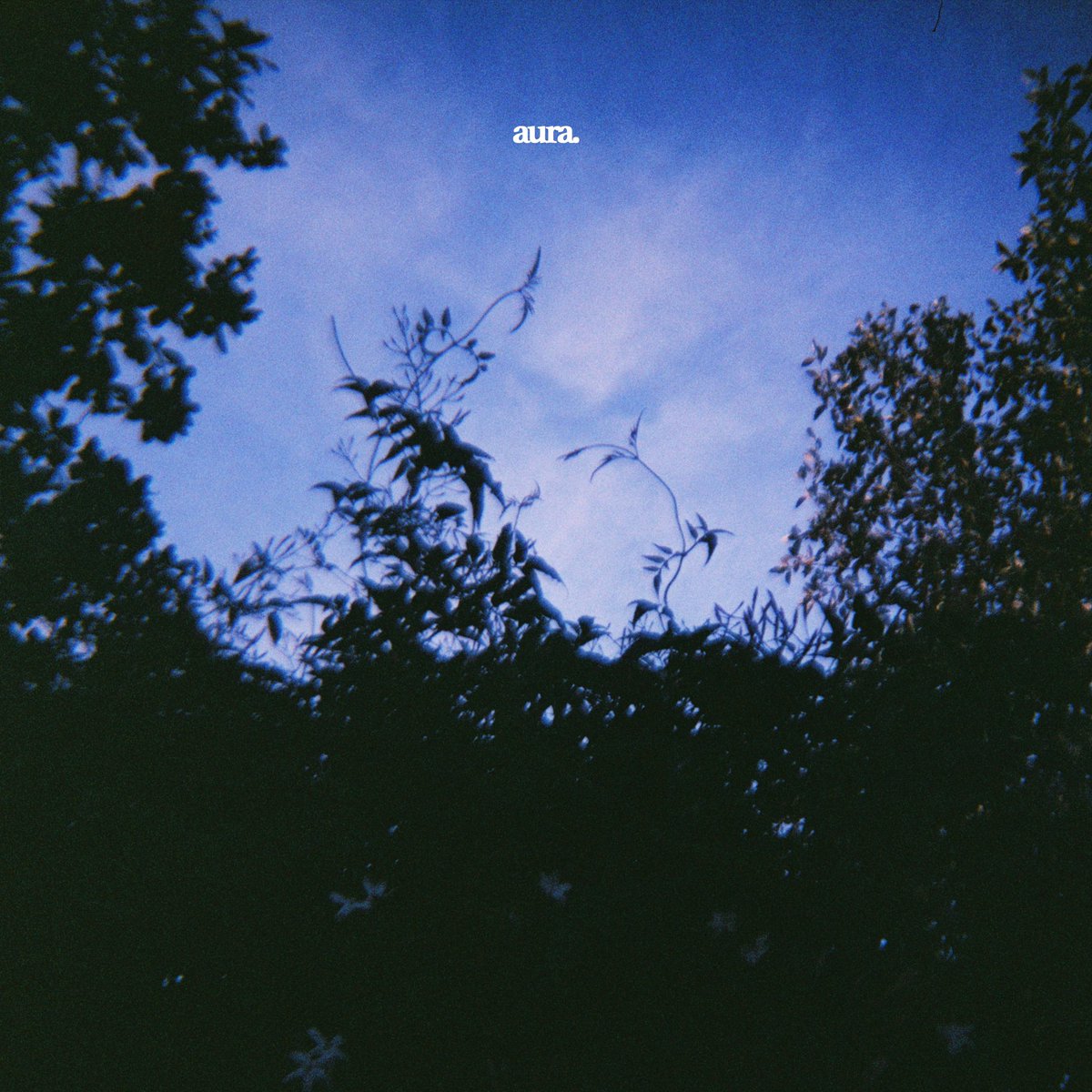 some notes on my new single 🤍