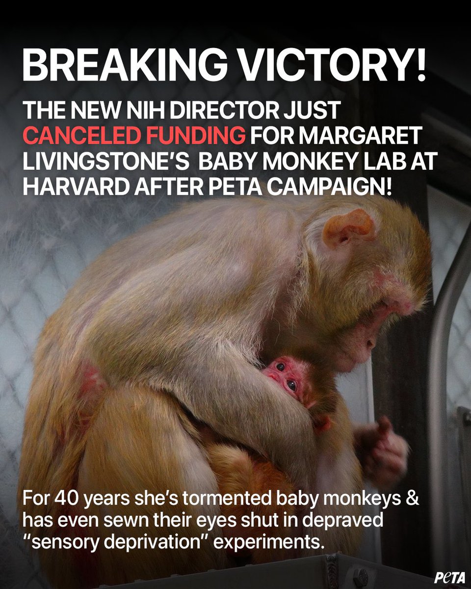 Good news <a href="/peta/">PETA</a> <a href="/PETAUK/">PETA UK</a>