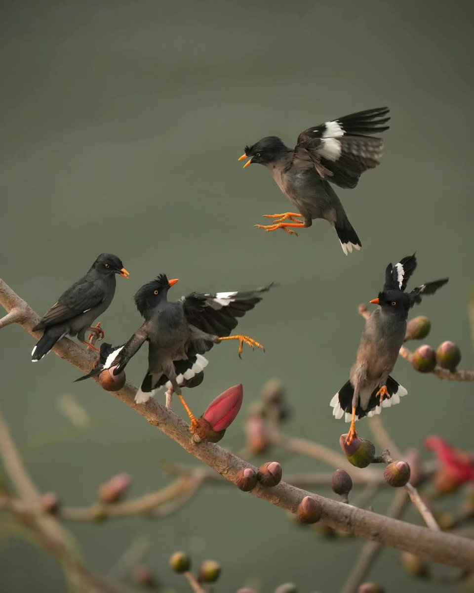 WizenlabsX's tweet photo. "আসসালামু আলাইকুম"
"শুভ সকাল💫
 صباح الخير 
Good Morning 🌻💥🌾
আজ সোমবার।
২৬ মে ২০২৫ খ্রিষ্টাব্দ।
২৭ জিলক্বদ ১৪৪৬ হিজরি।
১২ জৈষ্ঠ ১৪৩২ বঙ্গাব্দ।
এখন গ্রীষ্মকাল।🗯💭🌚
দিনটি শুরু ক‌রি এক‌টি ভালো কাজের মাধ্যমে।❤
ইনশাআল্লাহ।🥀💙 https://t.co/kJaX4TsTW4