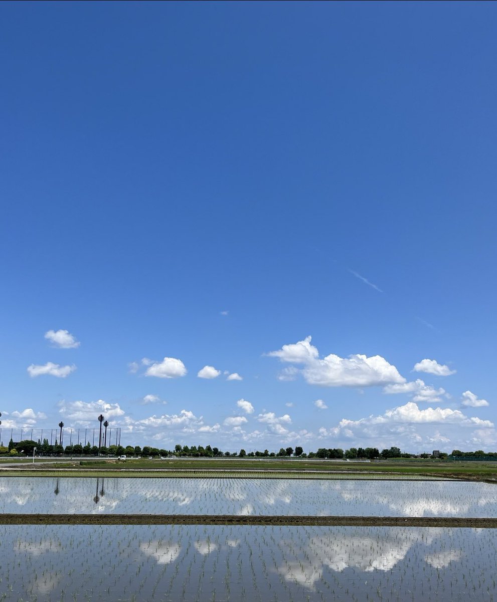 偶然見かけたさかさまの空
のんびりと雲が流れる
のどかな風景
やさしい風が
幸せを運んでくれますように
#000ff