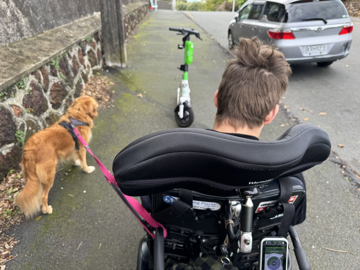 grabyourwheels's tweet image. Ho hum, another day, another barrier ♿️ #scooters #cones &amp;amp; #builders