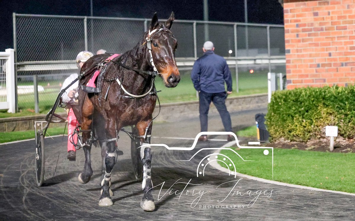 Race 10 - LADBROKES BLACKBOOK STAKES

SOKYS LINE / Rohan Hillier &amp; Rohan Hadley