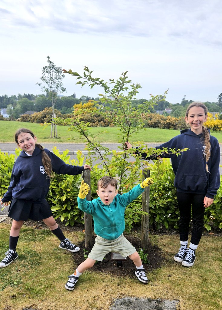 @theformanalyst tweet media