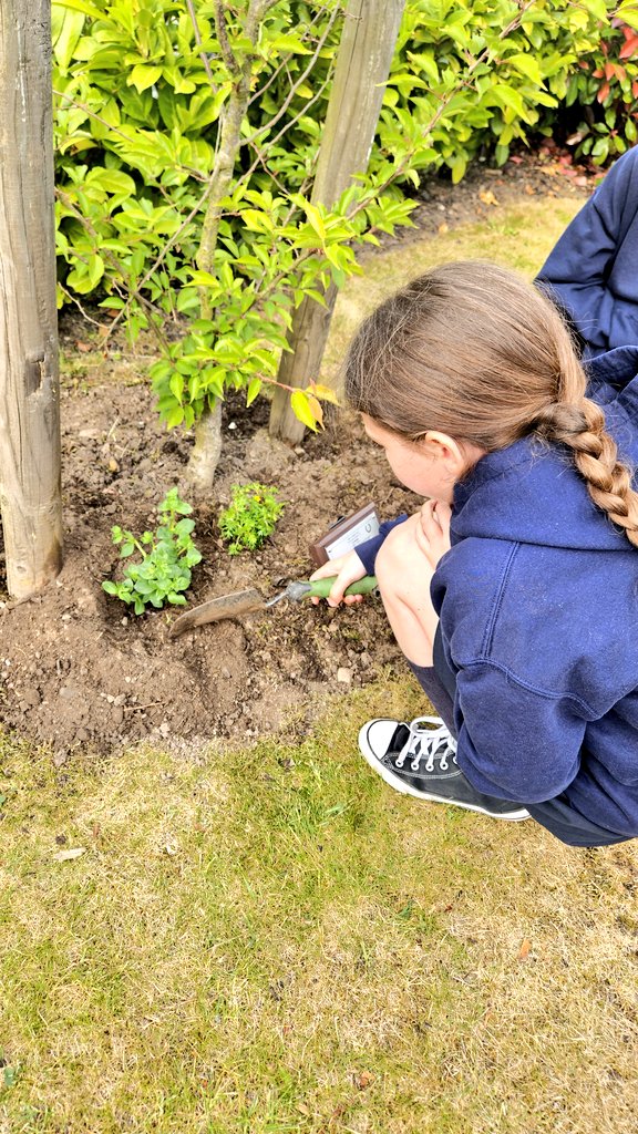 @theformanalyst tweet media