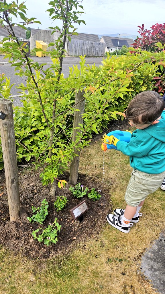 @theformanalyst tweet media