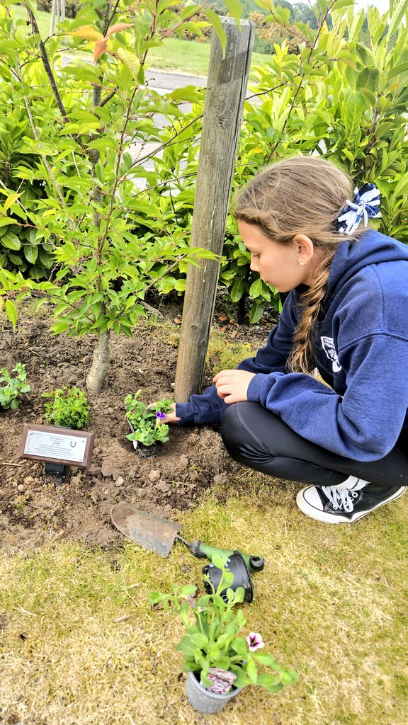 @theformanalyst tweet media