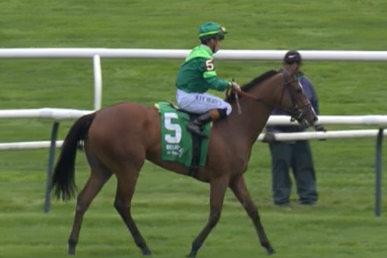 Eddie Woods Stables (@eddiewoods2yos) on Twitter photo #EddieWoodsStables grad LAVENDER DISASTER (3f Into Mischief / @SpendthriftFarm) ends a 7½-month layoff by winning an allowance going a mile on the turf at Aqueduct.
Congrats to owner/breeder Peter Brant/<a href="/WhiteBirchFarm_/">White Birch Farm</a>, trainer Chad Brown, and jockey @IradOrtiz! #EddieWoodsStables grad LAVENDER DISASTER (3f Into Mischief / @SpendthriftFarm) ends a 7½-month layoff by winning an allowance going a mile on the turf at Aqueduct.
Congrats to owner/breeder Peter Brant/<a href="/WhiteBirchFarm_/">White Birch Farm</a>, trainer Chad Brown, and jockey @IradOrtiz!