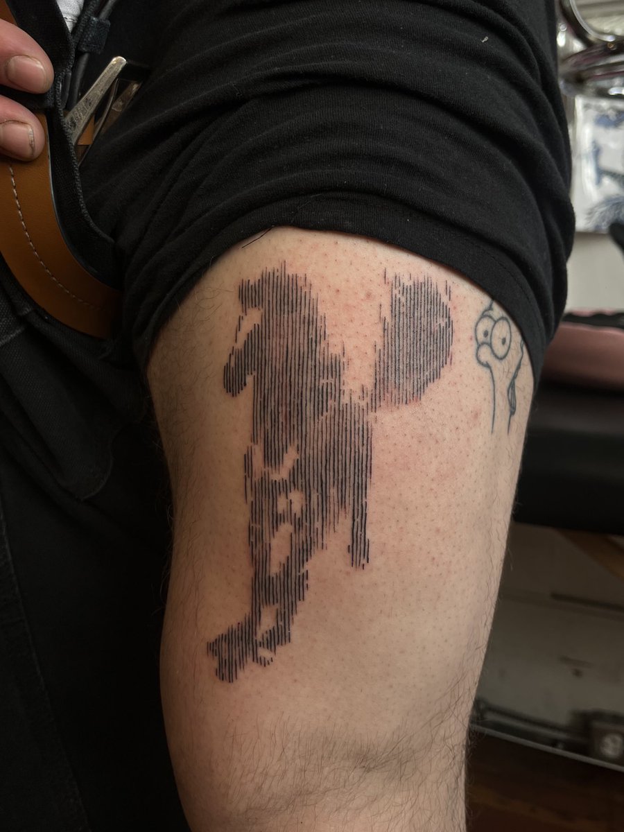 horses dont stop