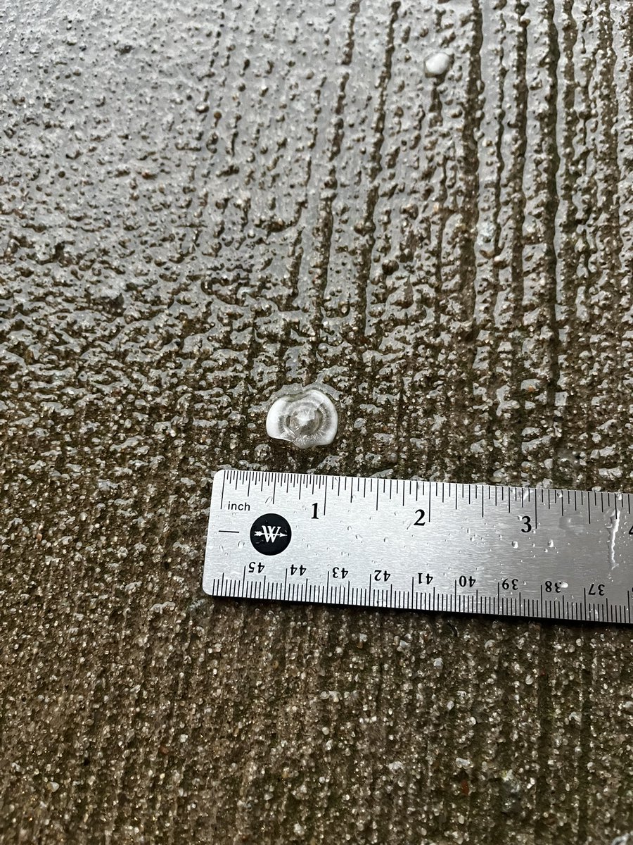 Laura Shedd tweet media