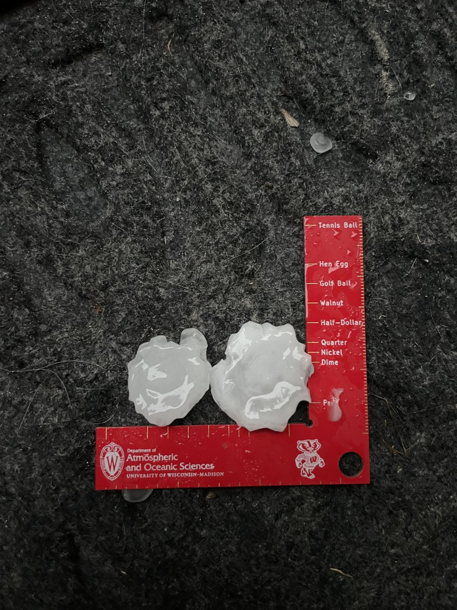 fcst70's tweet photo. Thanks to @UW_AOS for helping me measure the hailstones that fell in the last 40 min. https://t.co/U5HvapWkU7