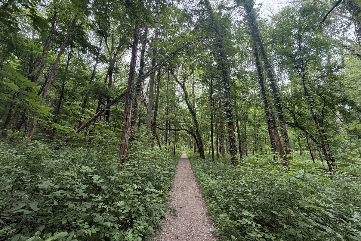 Sam Oldenburg tweet media