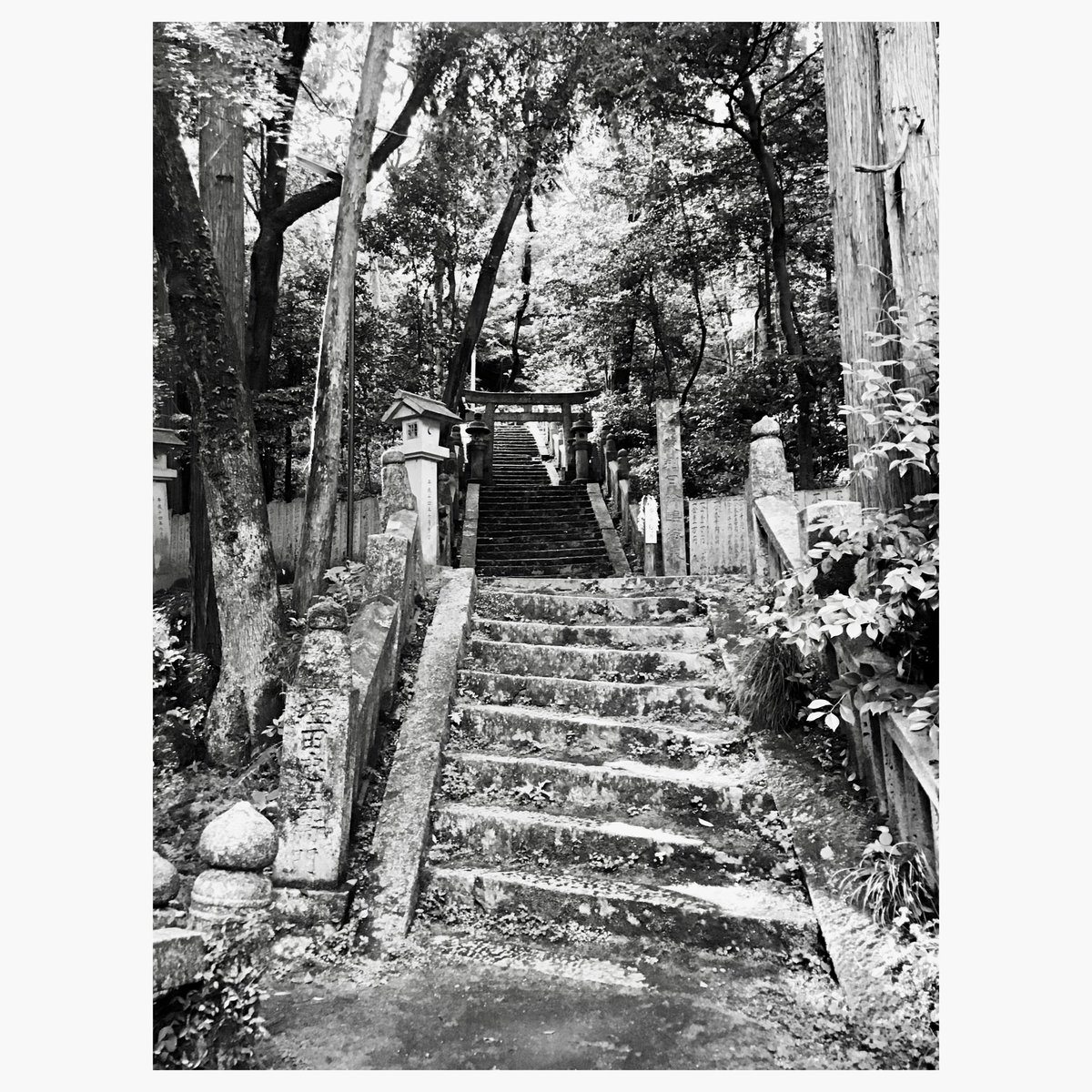 gorotsuki_dai's tweet photo. 千五百皇子社

#shrine #deepjapan #monochrome https://t.co/BQE72N405j