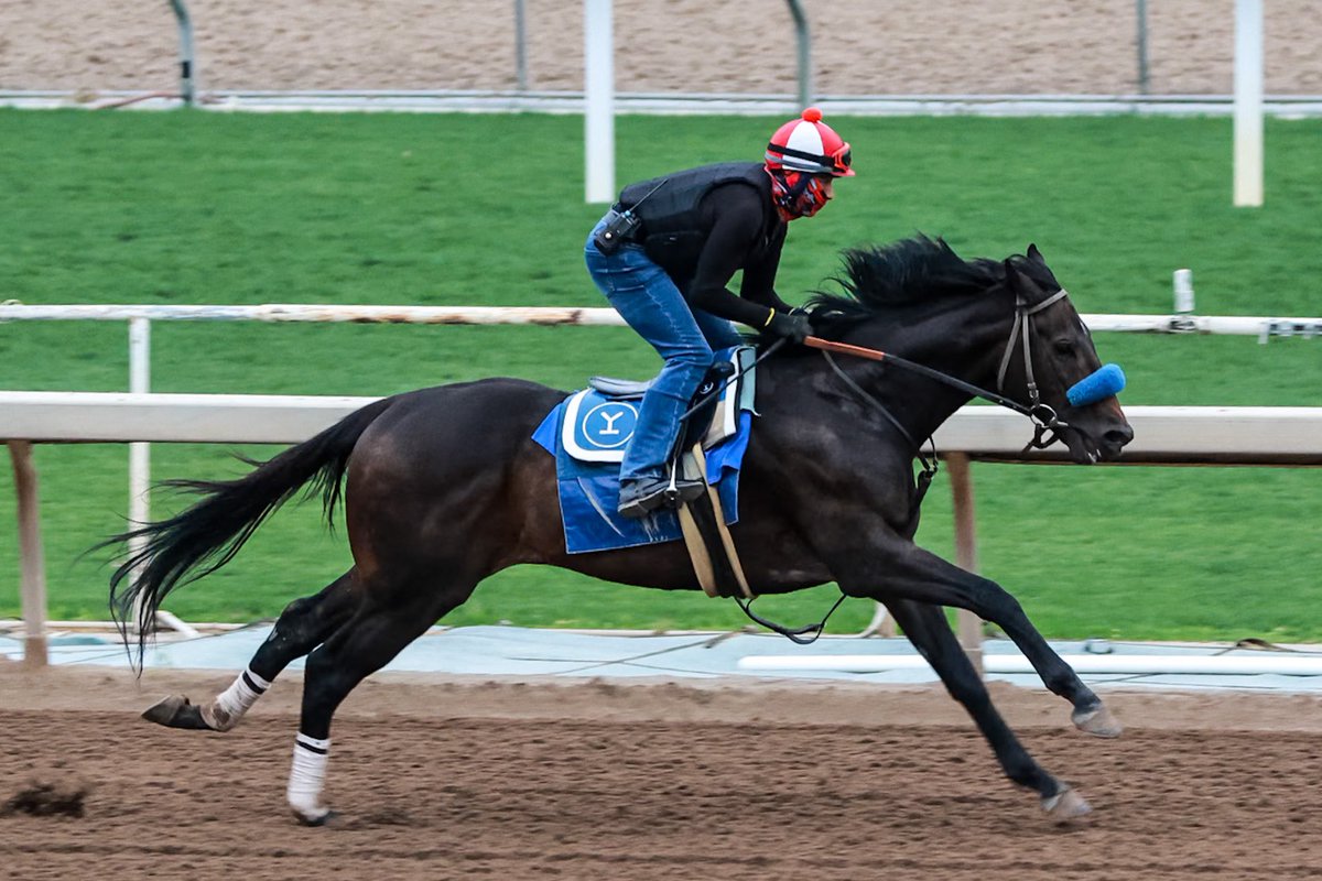 Johannes went out for another 3F drill this morning, this time the bullet for the day at #SantaAnitaPark. 🚄