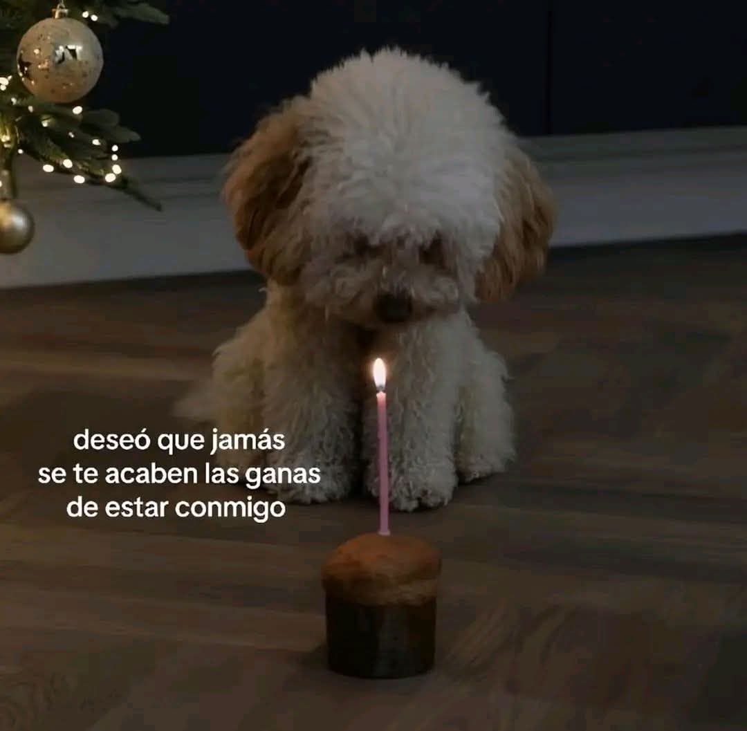 Lonely🥀 (@angelo_uf) on Twitter photo 