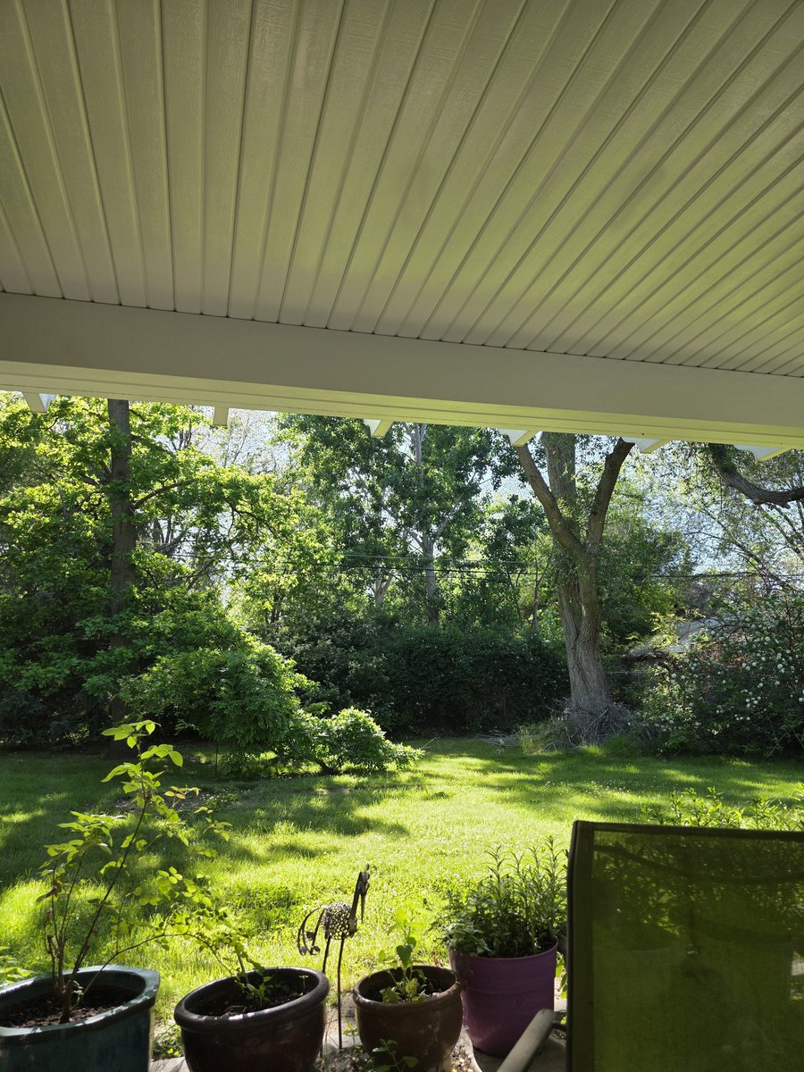 Nothing like sitting out on the patio listening to some Pink Floyd and just staring into the trees