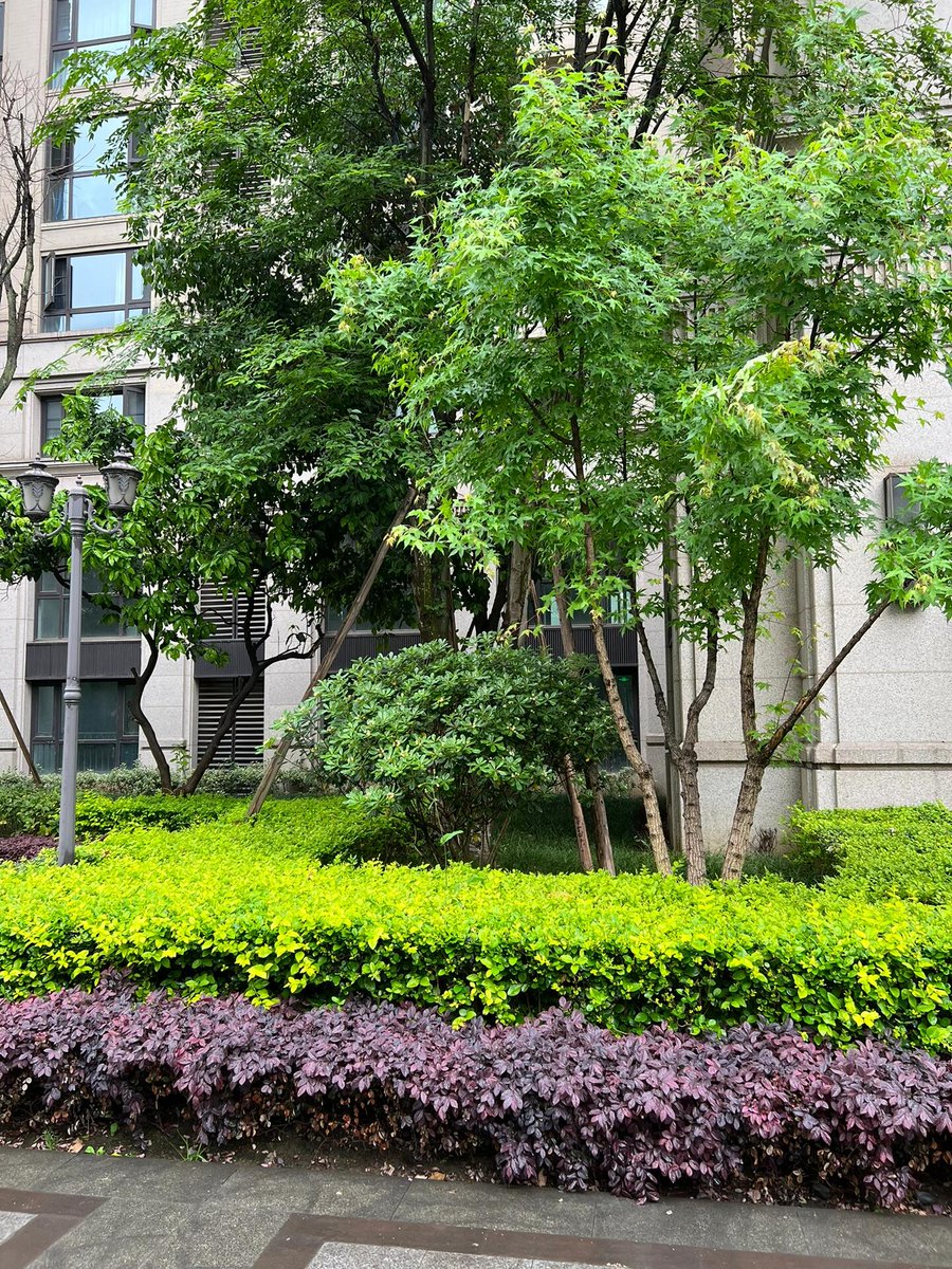 雨上がりの林道を歩くと、おとぎ話の世界に迷い込んだような気がします。