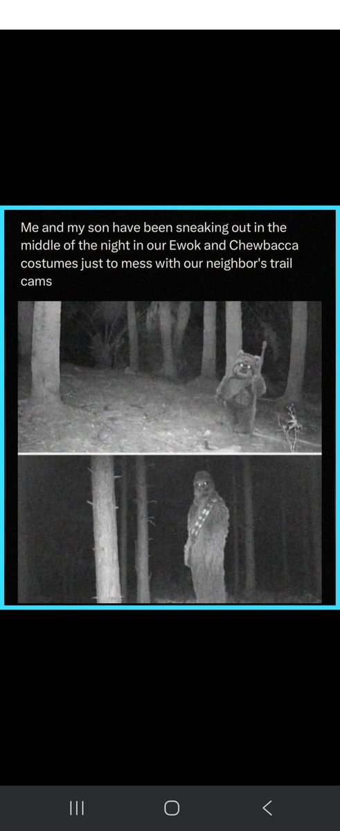 Amazon Chewbacca costume: £350
Amazon Ewok costume:  £150

Messing with neighbour:  priceless