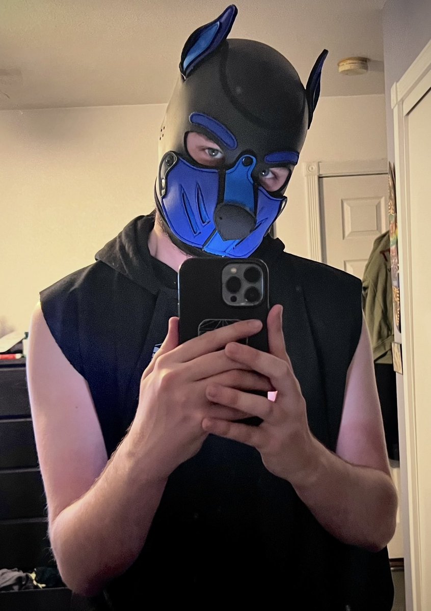 HyperStories | Pup Lightning⚡️ tweet media