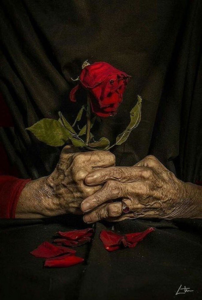 Gabriel García Márquez escribió:
"Recordar es fácil para quien tiene memoria.
Olvidar es difícil para quien tiene corazón"…