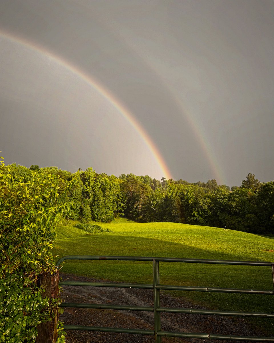 sdcoile's tweet image. Tornado warning in NW Georgia this evening, but storms are just like life. 
Bad for a little bit sometimes, but the sun’ll come out again directly.
It always does.