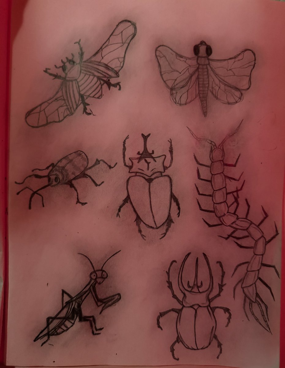 bugging0ut's tweet image. #buggingout on paper