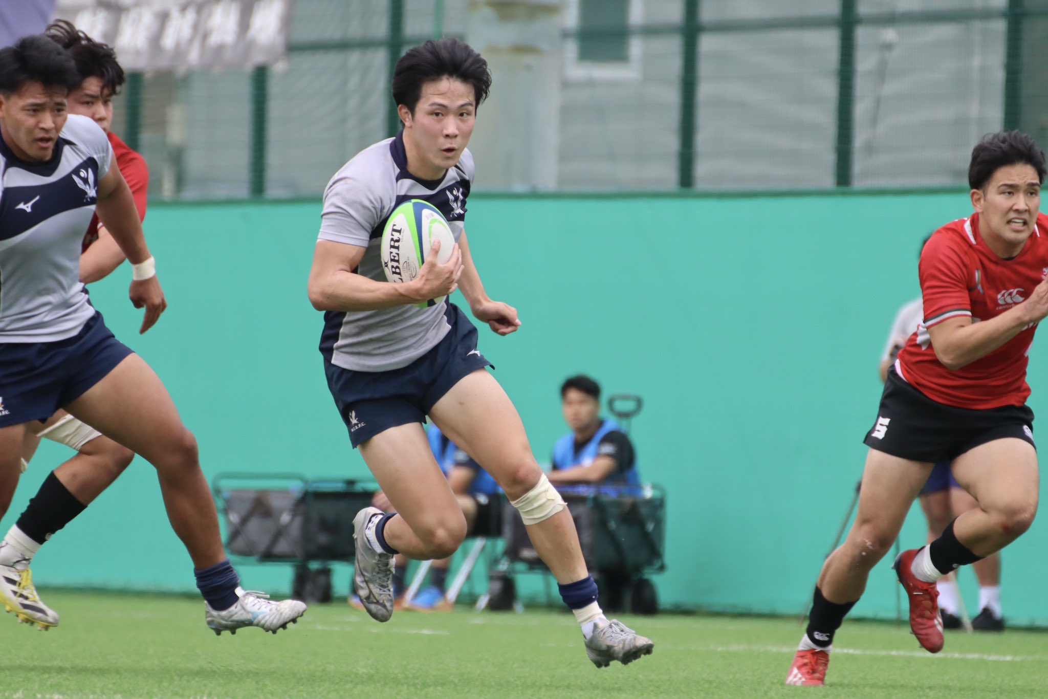 明治大学ラグビー部 公式戦用 ソックス
