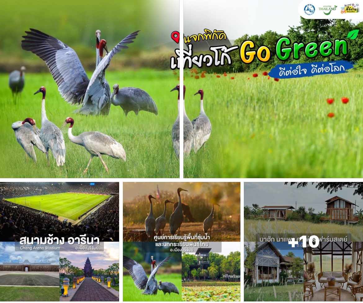 TATBuriram's tweet photo. ⛰️🍃 แค่ได้มาเยือน ก็เหมือนได้เป็นส่วนหนึ่ง!
✨♻️ เที่ยวโก้ Go Green
.
     📌 เเจกพิกัดแหล่งท่องเที่ยวดีต่อใจ ดีต่อโลก  “เที่ยวสัมผัสธรรมชาติ” ร่วมออกเดินทางสู่ดิ��แดนแห่งวัฒนธรรมและธรรมชาติ สัมผัสเสน่ห์บุรีรัมย์ในมุมมองใหม่ กับกิจกรรม #การท่องเที่ยวแบบรักษ์โลกย์ https://t.co/v2fTbEyklC