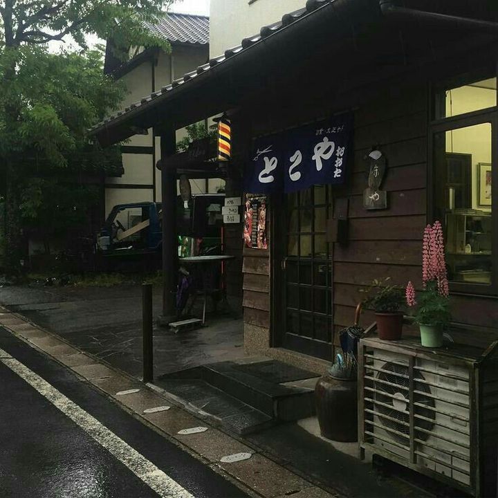 laura do channie🐺 tweet media