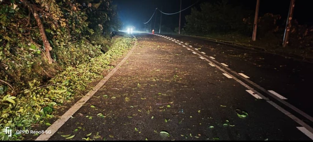 Kerja kecemasan – kerja membersih pokok tumbang di laluan FT64 Jalan Benta Maran, Seksyen 45.9, Daerah Jerantut, Pahang

<a href="/JKRJERANTUT/">JKR Jerantut</a>
<a href="/JKRPAHANG/">JKR PAHANG</a>
<a href="/ZTTCSFJ/">ZTT CSFJ</a>
<a href="/CSFJ_JKR/">Cawangan Senggara Fasiliti Jalan (CSFJ)</a>
<a href="/IPJKR_Official/">JKR Malaysia Rasmi</a>
<a href="/moworksmy/">Kementerian Kerja Raya Malaysia</a> 
<a href="/ahmadmaslan/">DS Dr Ahmad b Maslan</a> 
<a href="/AlexNantaLinggi/">Alexander Nanta Linggi</a>