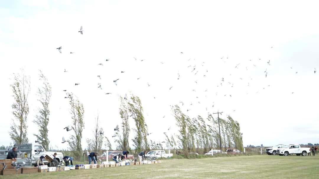 FESTEJO PATRIO EN MARTÍN FIERRO: LA MUNICIPALIDAD Y EL CEPT N° 11 COMPARTIERON EL ACTO EN EL QUE SE REVALORIZARON LOS IDEALES DE MAYO