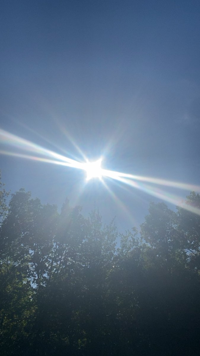 strawhatliame's tweet image. day 8; #exhausted