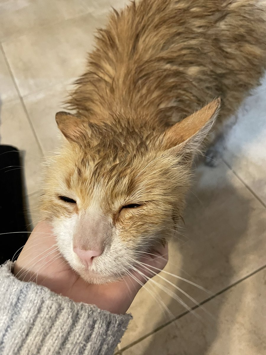 Meda mucha vergüenza tener que hacer esto pero el miercoles tenemos que operar a lennon. No llego con la plata sinceramente porque mucho se fue en mi medicación del mes.
Si pueden ayudar y difundir contribuyendo seria hermoso. 😭🙏🏻🙏🏻

Alias: coloradixx