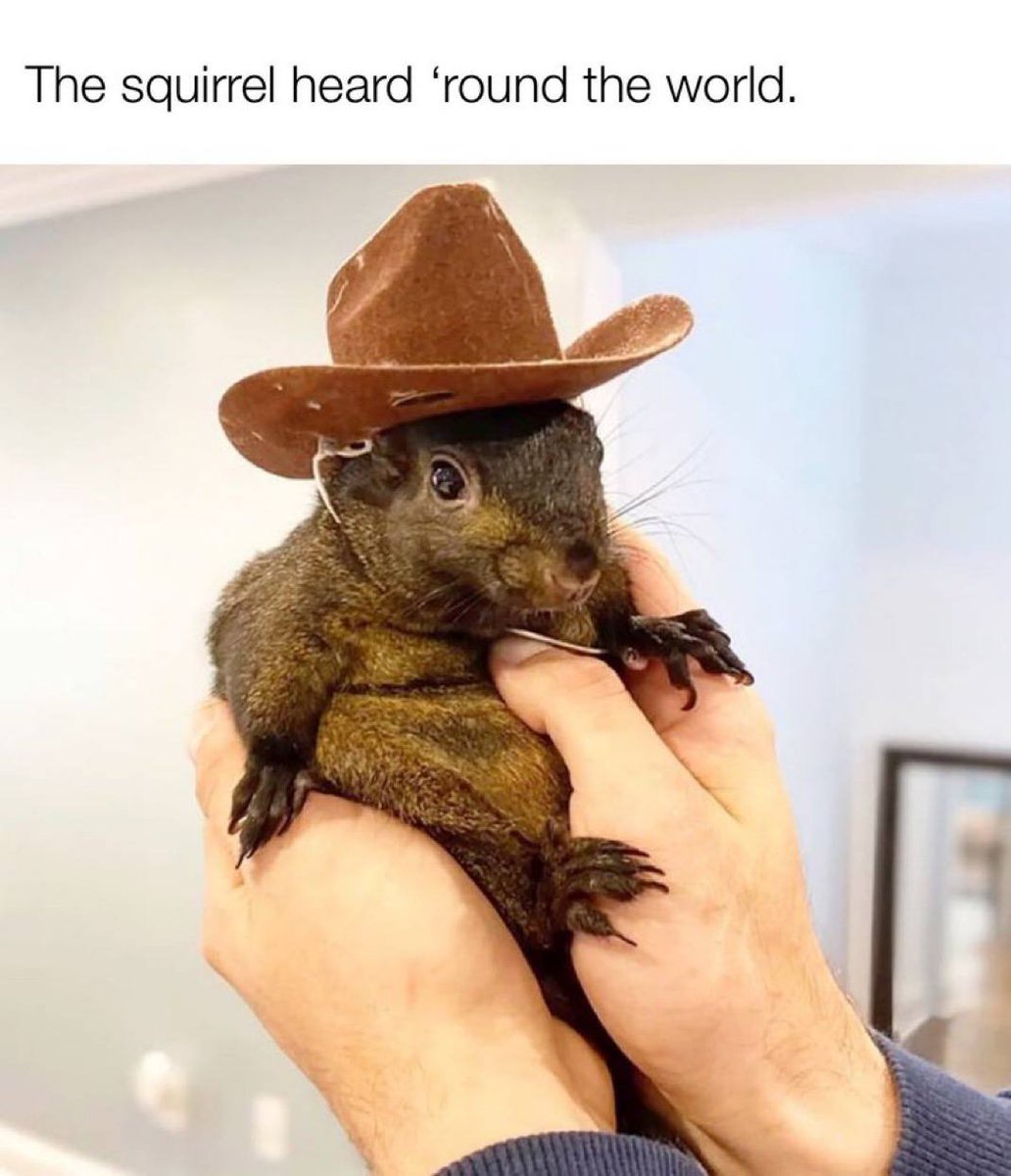 West Coast Wizard tweet media
