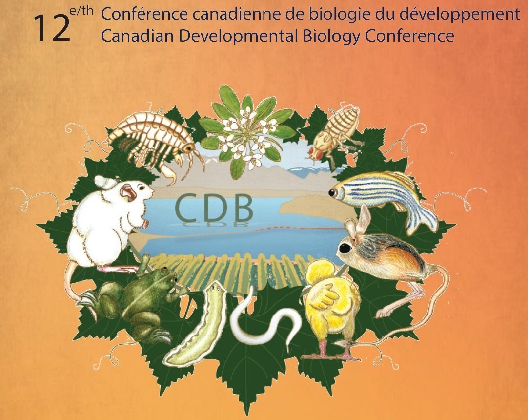 Srayko Lab tweet media