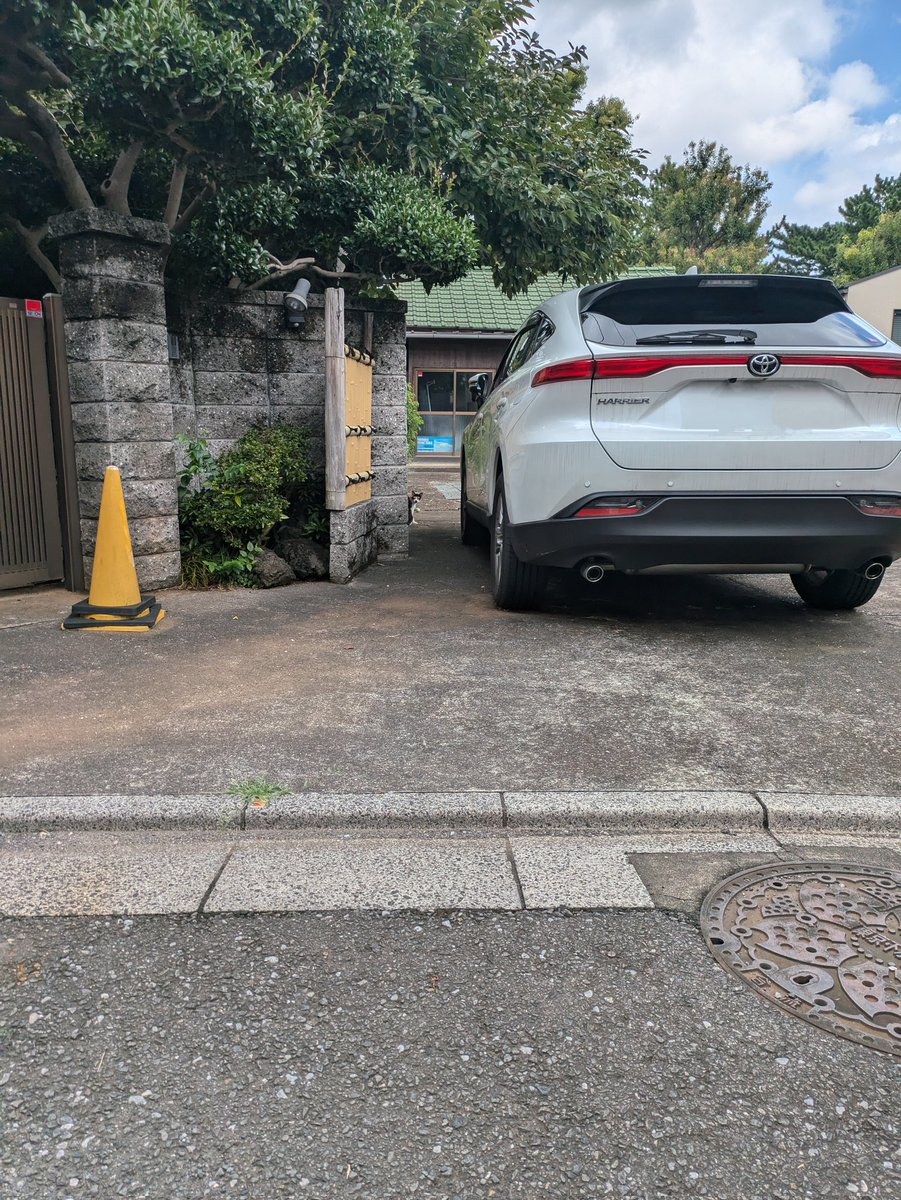 山本大心 (@yamamoto_tn) on Twitter photo 