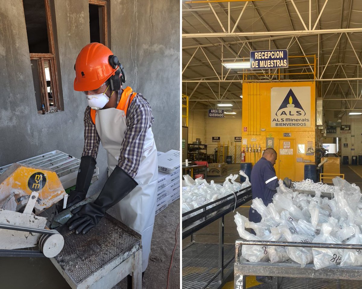 $AVM's team in #Mexico have been working hard to process and dispatch the first drill holes from the high grade Yoquivo Project!! The Company's maiden program is targeting significant extensions to known mineralisation, with previous drilling intersecting bonanza-grade #silver