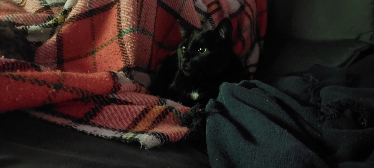 luquicas :3 tweet media