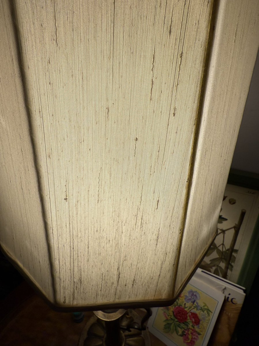 Margaret Orr tweet media