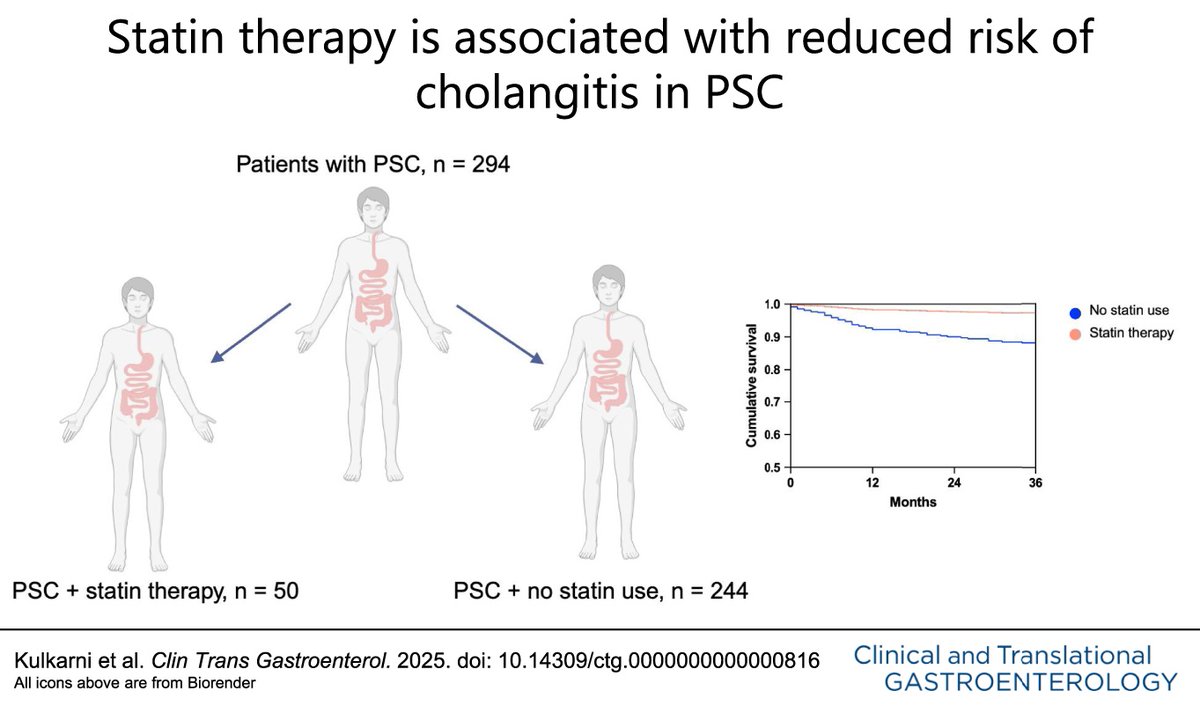 ACG_CTG (@acg_ctg) on Twitter photo Statin Use Is Associated With Protection Against Acute Cholangitis in Patients With Primary Sclerosing Cholangitis: A Multicenter Retrospective Cohort Study
Kulkarni, et al.
➡️ bit.ly/3STyyVs
<a href="/GCholankeril/">George Cholankeril</a> <a href="/AparnaGoelMD/">Aparna Goel, MD (she/her)</a> <a href="/AmCollegeGastro/">ACG</a> <a href="/brianjacobsonmd/">Brian Jacobson</a> Statin Use Is Associated With Protection Against Acute Cholangitis in Patients With Primary Sclerosing Cholangitis: A Multicenter Retrospective Cohort Study
Kulkarni, et al.
➡️ bit.ly/3STyyVs
<a href="/GCholankeril/">George Cholankeril</a> <a href="/AparnaGoelMD/">Aparna Goel, MD (she/her)</a> <a href="/AmCollegeGastro/">ACG</a> <a href="/brianjacobsonmd/">Brian Jacobson</a>