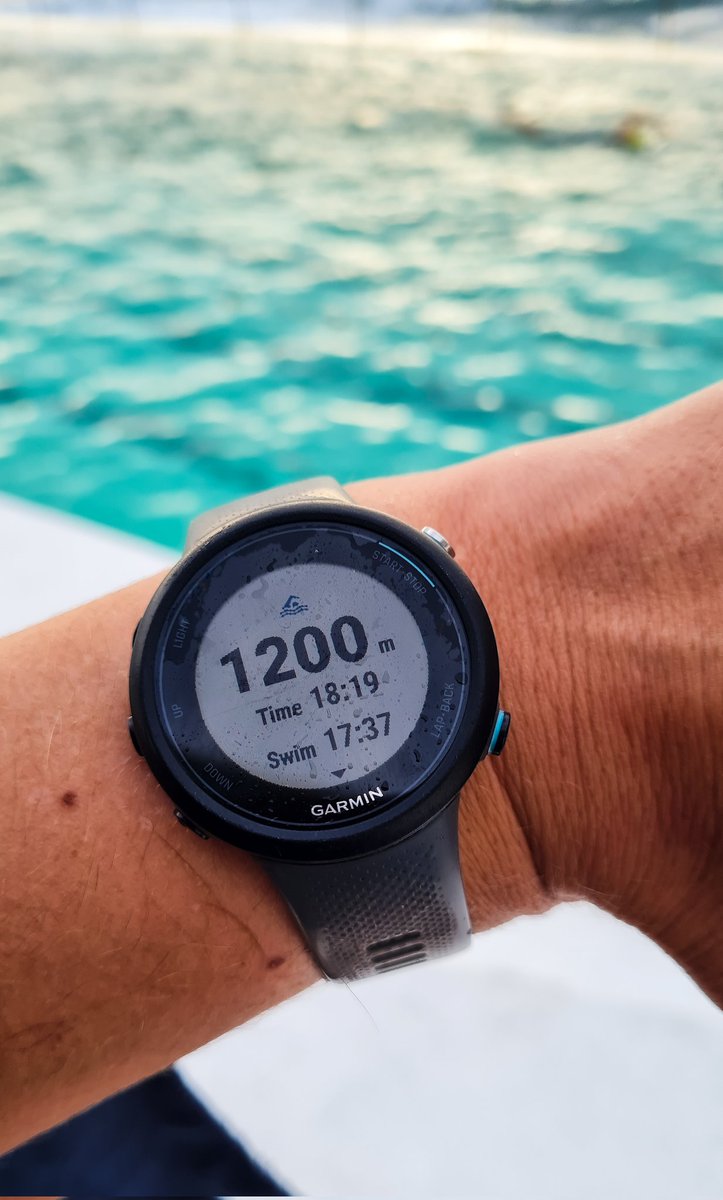 Early risers vs white horses. 🌊🏊‍♂️ What a morning at #BondiIcebergs! 🌅 <a href="/WildSwimBrother/">Wild Swimming Brothers 🏊</a>