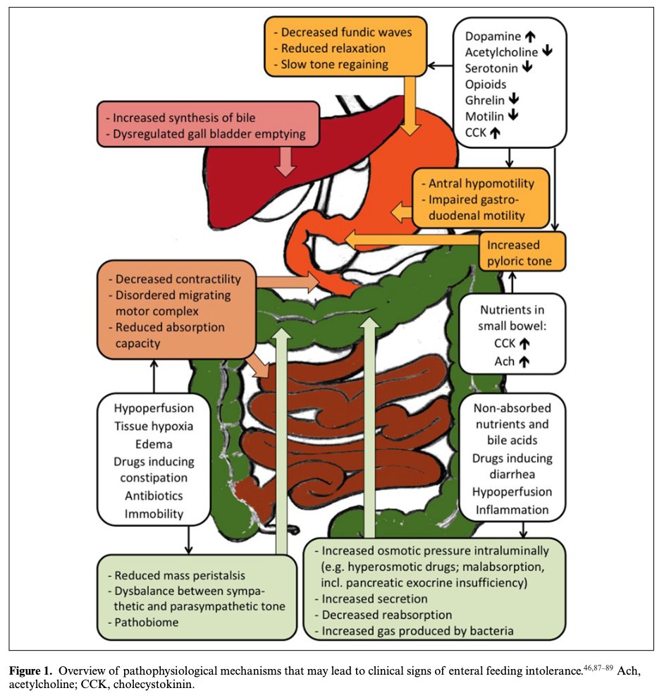 La intolerancia a la nutrición enteral puede ser consecuencia de diversos mecanismos fisiopatologicos 
DOI: 10.1002/ncp.10599open_in_new