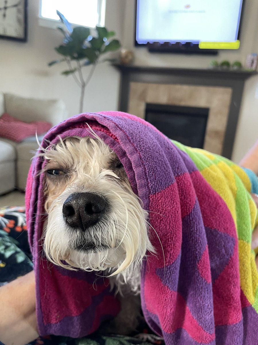 murphyfanpage34's tweet photo. Just wanted to be stinky https://t.co/8cTSUqGrIB