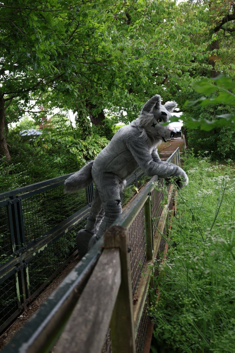 One of the things I don’t like about bigger conventions like CFz with a nice fursuit made by myself. Lots of people say they love your suit, take pictures, etc. You don’t get party invites, asked if you’re doing ok, how are you changing the world, etc. A bit superficial.