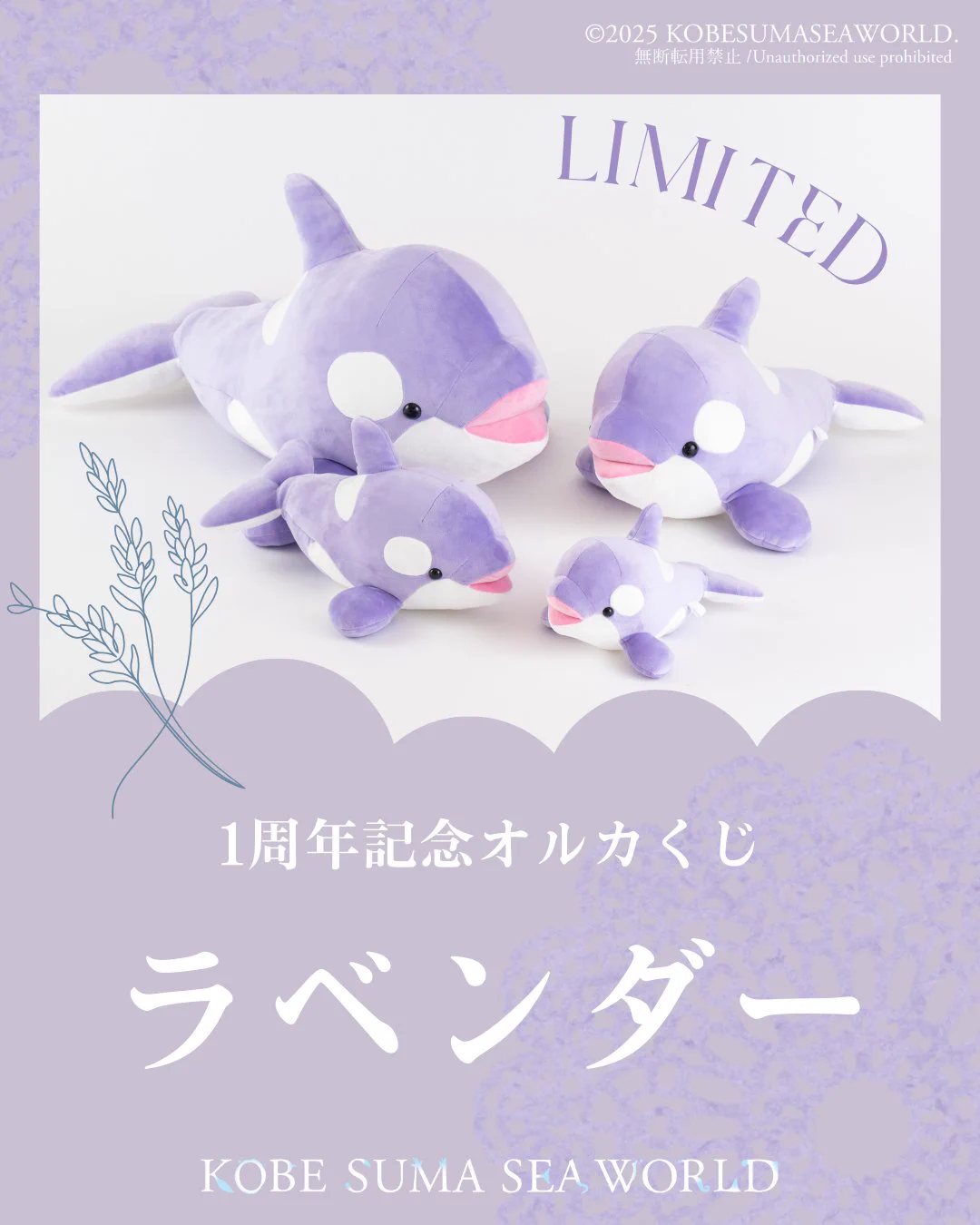 シャチ1等須磨シーワールド一等当たりくじぬいぐるみ 神戸須磨シーワールド on X: 