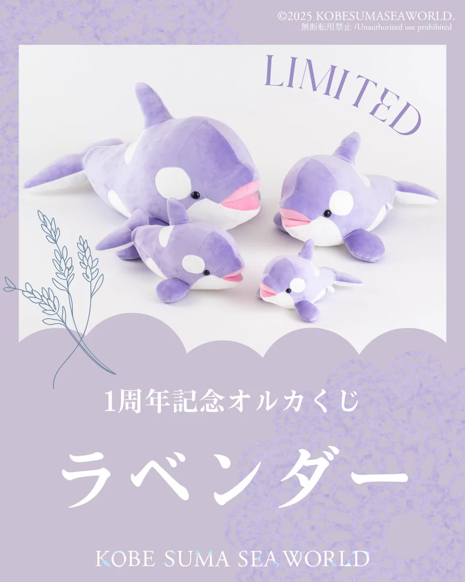 【値下げ】オルカくじ 2等 ラベンダー 1周年記念 期間限定 非売品 シャチ 紫 神戸須磨シーワールド on X: 