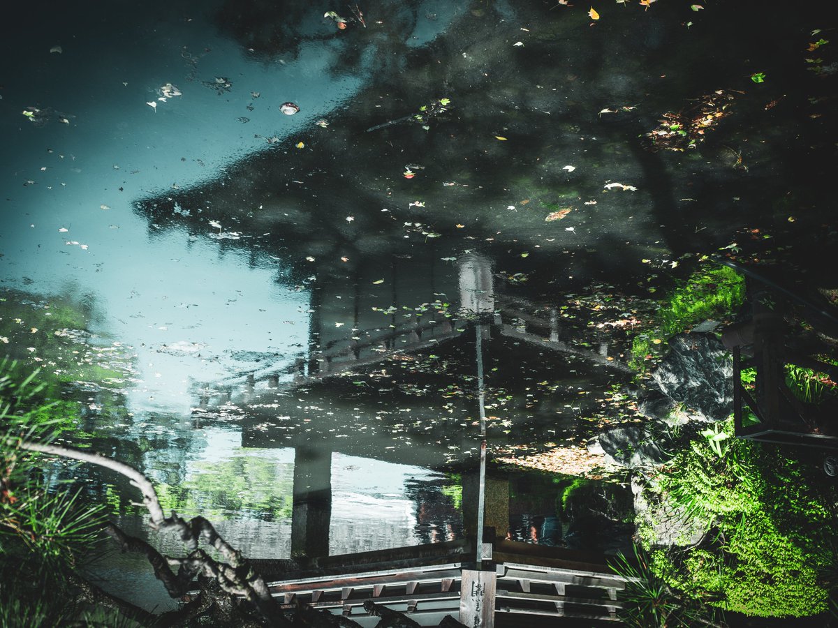 📸水に浮かぶ鳶魚閣

M.ZUIKO DIGITAL ED 25mm F1.8
#RikaWorld 📍和歌山城西の丸庭園