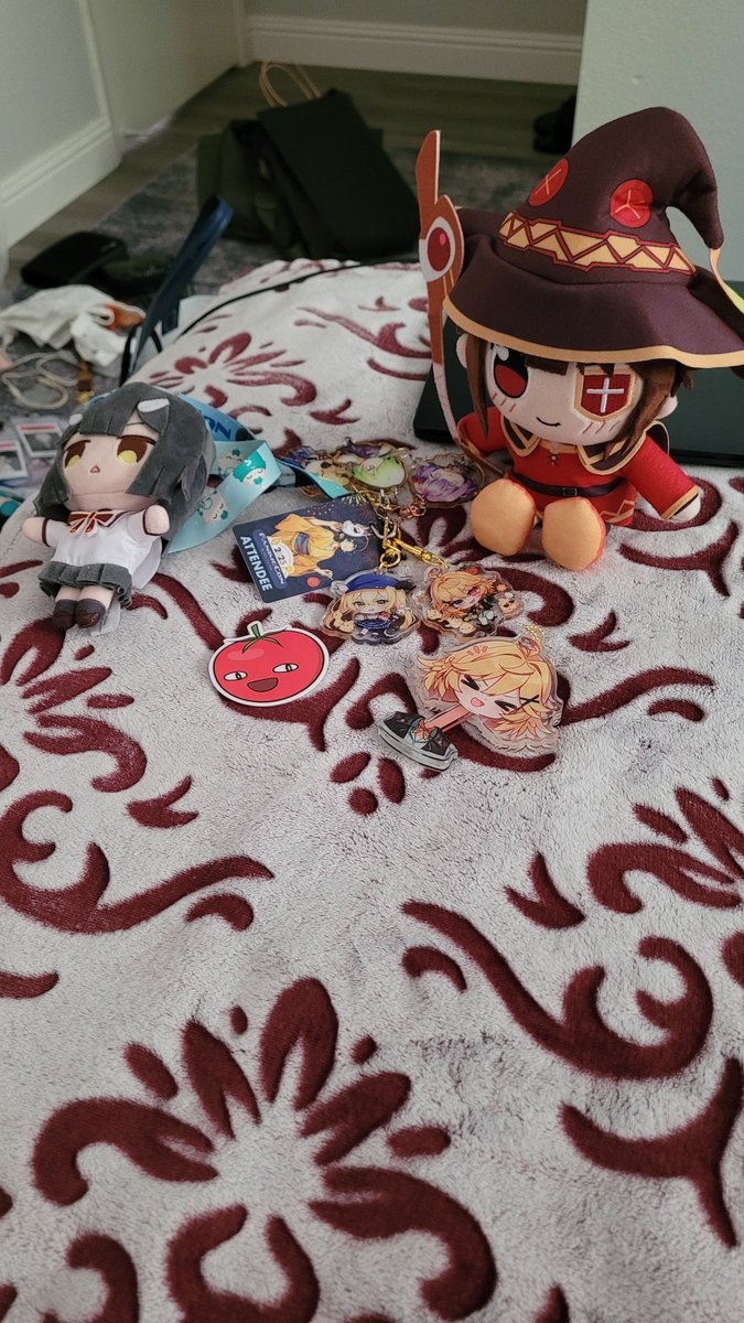LonerofGaming's tweet image. I was an absolutely nervous wreck during this ;v;
My 1st ever meet & greet so thanks for taking my 1st time! Of my 7 yrs exclusively going to Fanime this is memory I'll cherish deeply. Thank you so much!! @dokibird
Megu Plushie & Dragoon Vs. Tomato :>
#Dokibird #Dokispotted