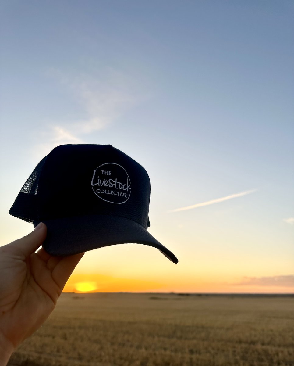 They’re back by popular demand!
Caps and bucket hats are now back in stock - perfect for showing your support for The Livestock Collective while staying stylish.
Available here: thelivestockcollective.com.au/shop/#merchand…

We also love seeing them out and about, so don't be shy to send a picture in!