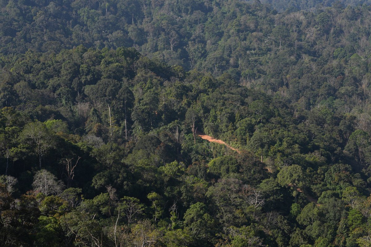 Biodiversity is Our Life (@thbiodiversity) on Twitter photo วิวหลักล้านที่เขากระโจม สวยงามประทับใจค่ะ
🌳🐾🦔🦋🐯🥰
HARMONY WITH NATURE
#LoveNatureWithGulf
<a href="/gulfkanawut/">gulfkanawut</a> วิวหลักล้านที่เขากระโจม สวยงามประทับใจค่ะ
🌳🐾🦔🦋🐯🥰
HARMONY WITH NATURE
#LoveNatureWithGulf
<a href="/gulfkanawut/">gulfkanawut</a>