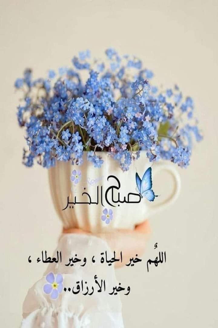 اللهم اجعل يومنا هذا خيرًا، وعاقبته رشدًا، واكتب لنا فيه ما يرضيك عنا🌸

#صِبّــآحً_آلَخٌــيّر_وِآلَسًعَـــآدُهِ #صِـبّـآحً_آلَأشّــيّآء_آلَمِشّـرقَـة
#اقتباسات